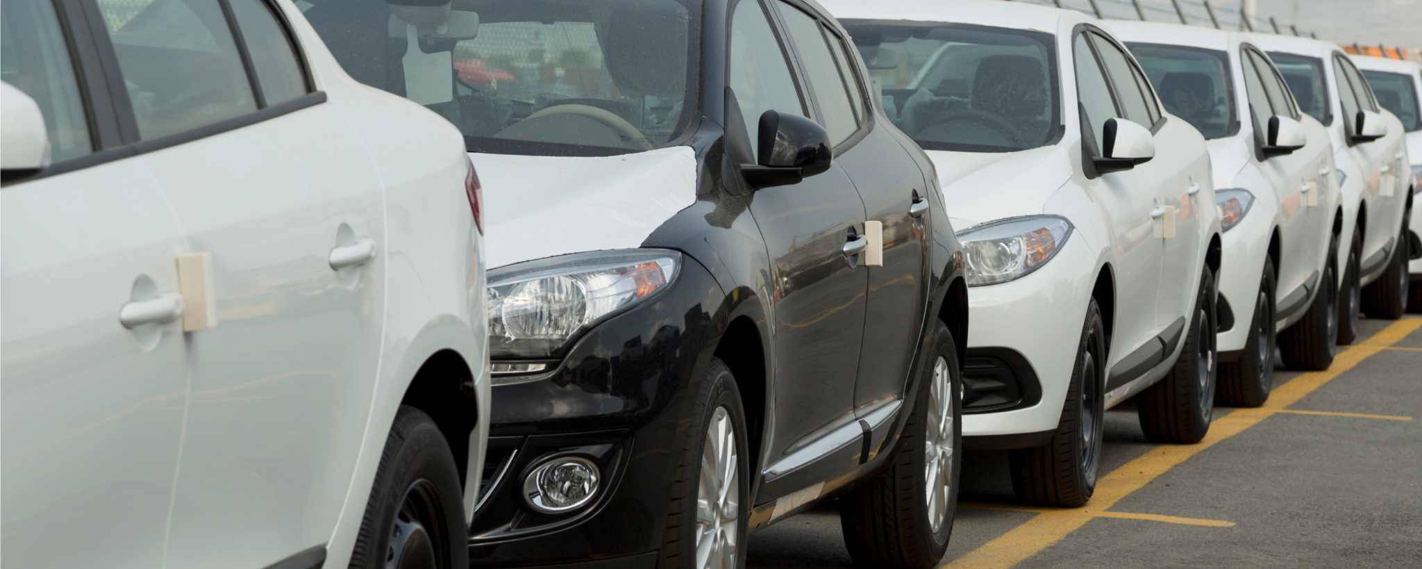 Car Detailing Tips for Florida’s Humid Climate