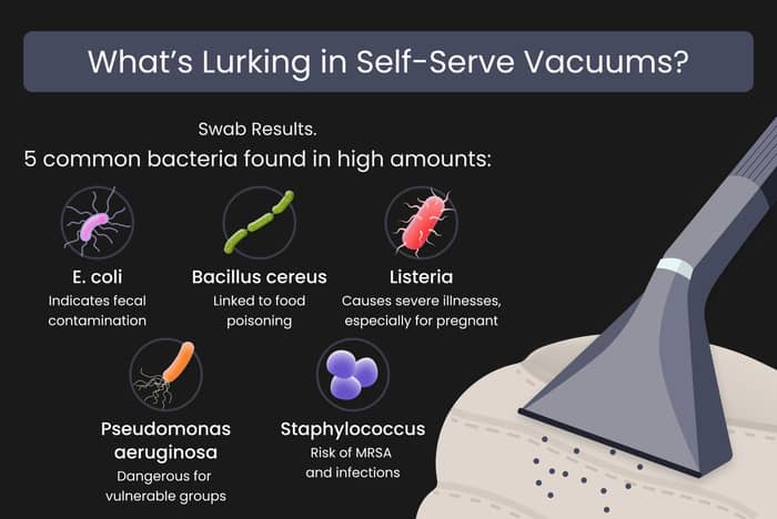 The Bacteria on Self-Serve Car Vacuums