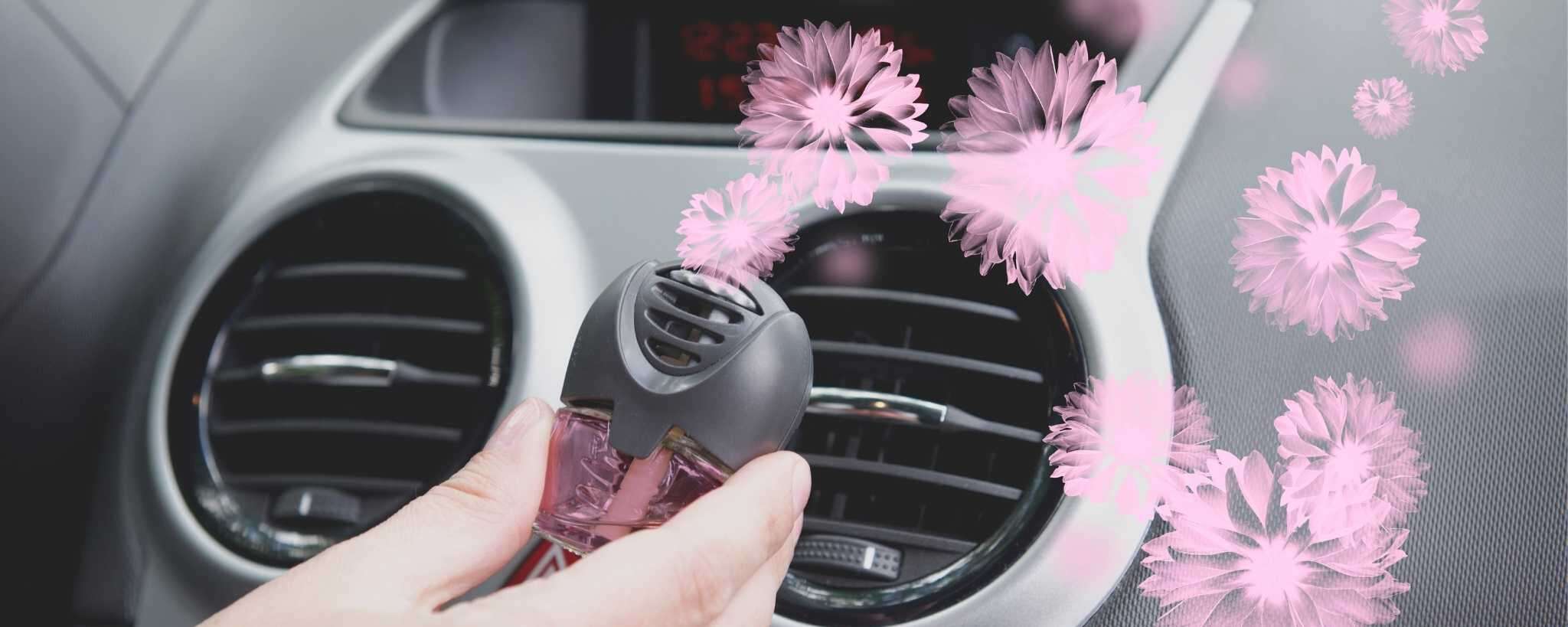 5 Types of Car Air Fresheners: Which One is Right For You?