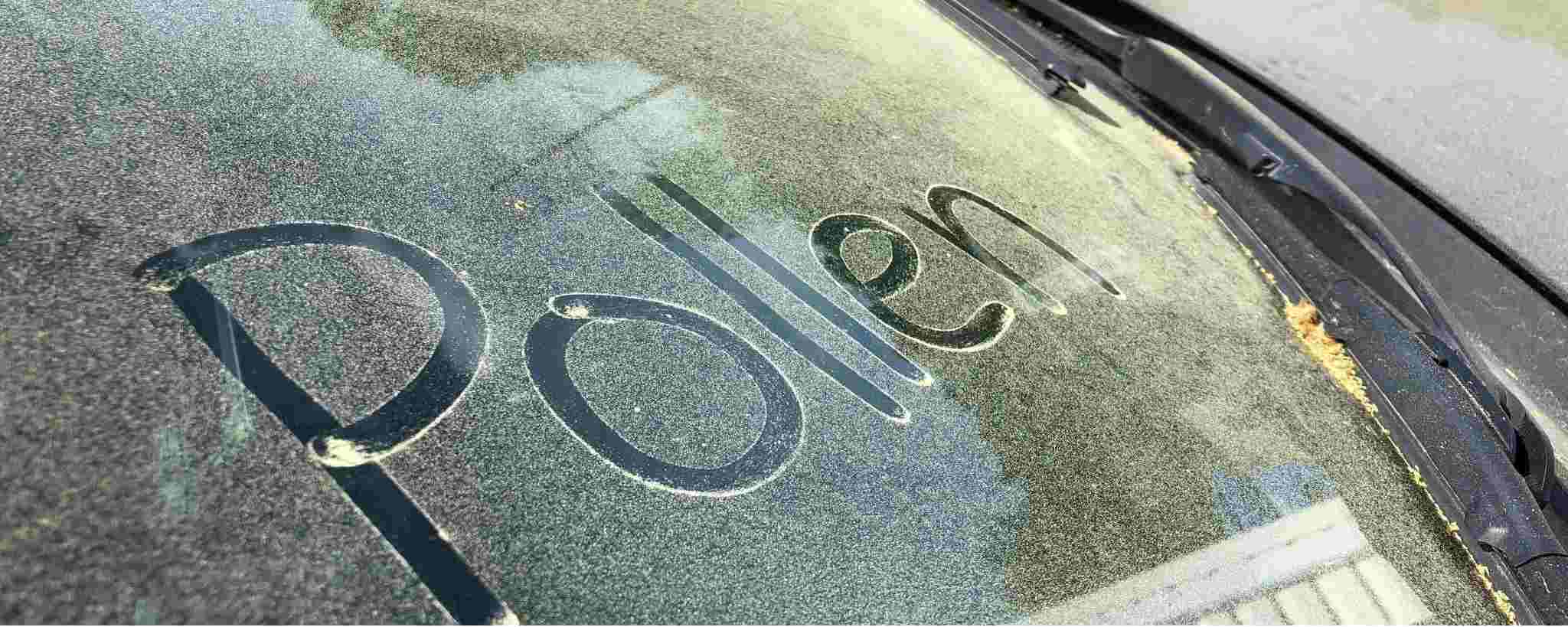 The Best Way To Remove Pollen on Cars