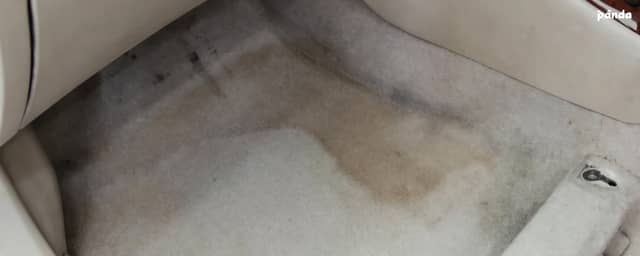 5 Effective Ways to Get Mold Out Of Your Car and Carpet